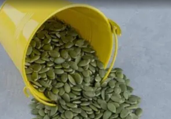 Screenshot_20260110_095708_Google