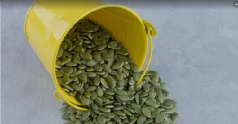 Screenshot_20260110_095708_Google