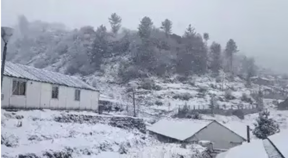 Screenshot_20260111_091733_Chrome