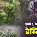 Screenshot_20260112_084908_Chrome