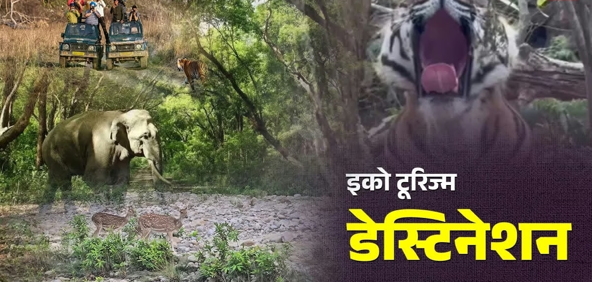 Screenshot_20260112_084908_Chrome