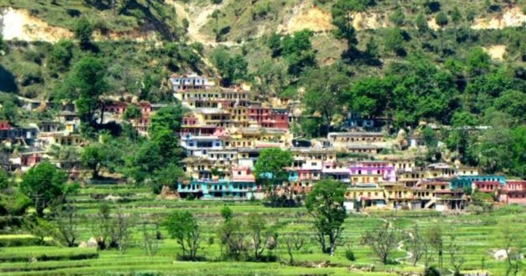 Screenshot_20260123_081232_Google