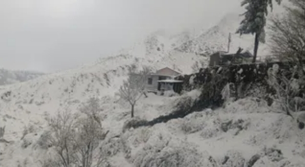 Screenshot_20260125_080511_Chrome