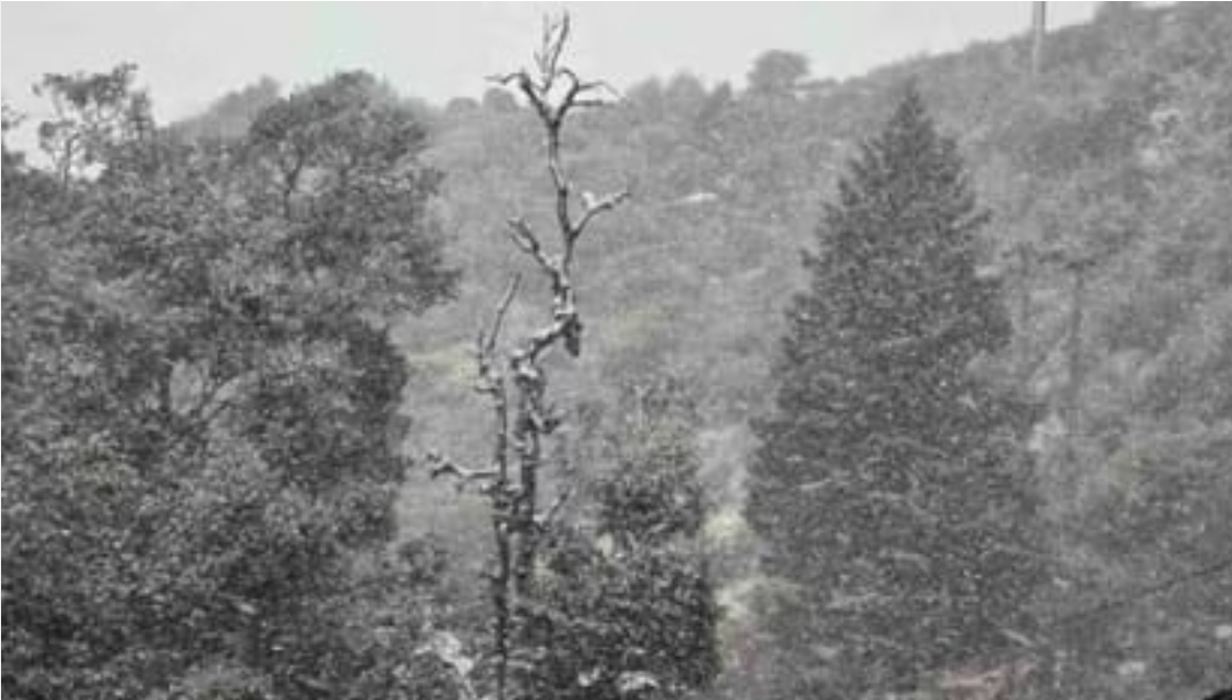 Screenshot_20260127_080702_Chrome