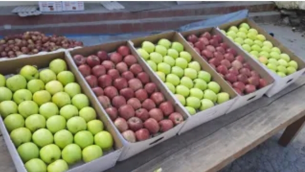 Screenshot_20260128_084536_Chrome