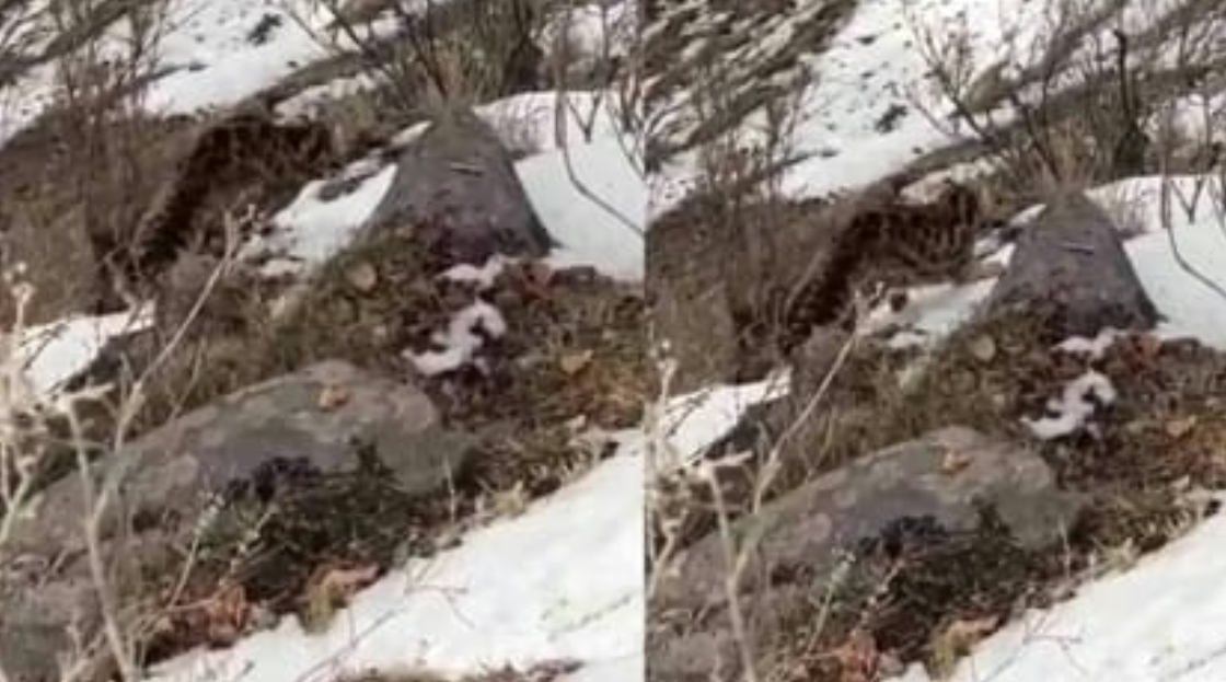 Screenshot_20260129_075937_Chrome