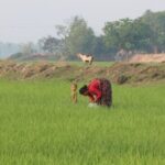 Screenshot_20260207_084147_Google