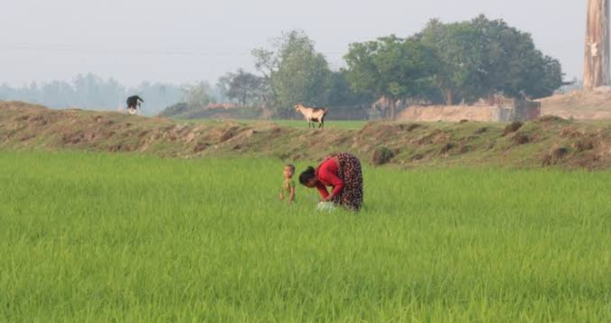 Screenshot_20260207_084147_Google