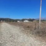 Screenshot_20260209_082518_Chrome