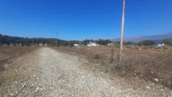 Screenshot_20260209_082518_Chrome