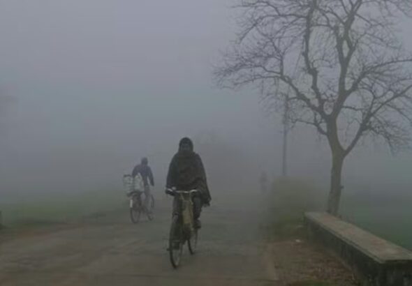 Screenshot_20260210_083039_Chrome