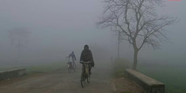 Screenshot_20260210_083039_Chrome