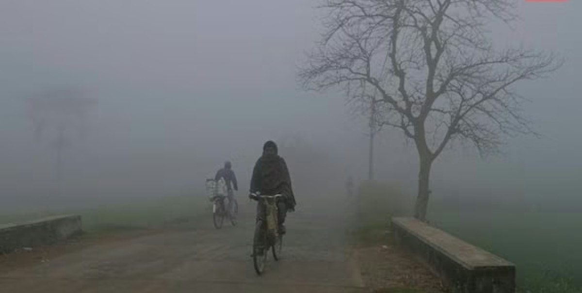 Screenshot_20260210_083039_Chrome