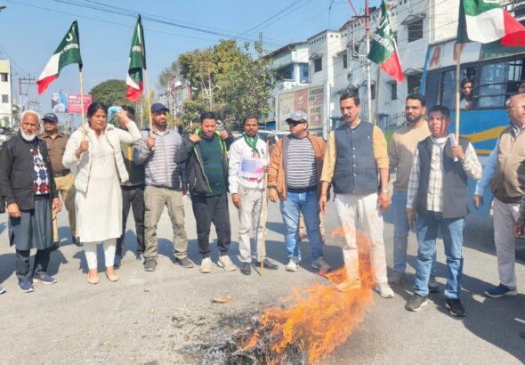 Screenshot_20260212-172554~2