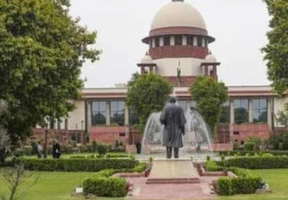 Screenshot_20260212-194339~2