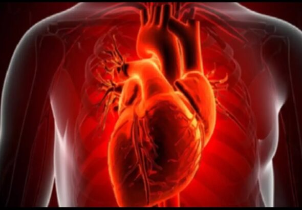 Screenshot_20260212_081535_Chrome