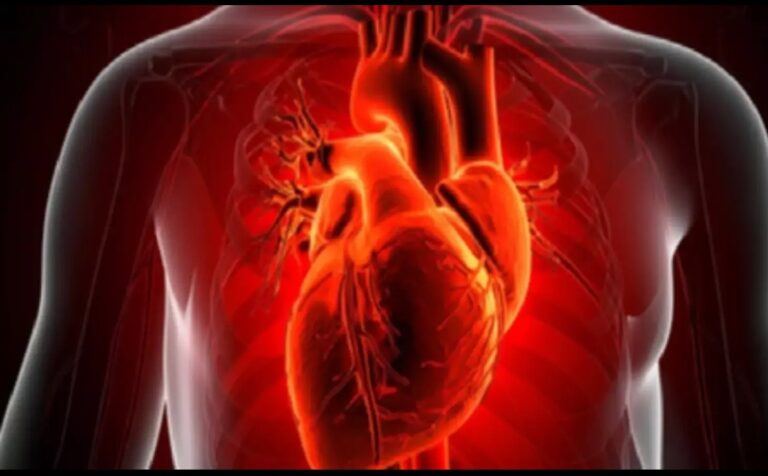 Screenshot_20260212_081535_Chrome