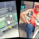 Screenshot_20260213_084209_Chrome