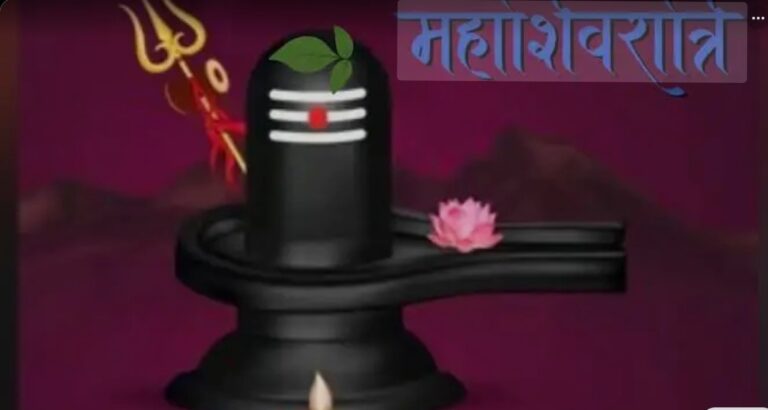 Screenshot_20260215_090146_Google