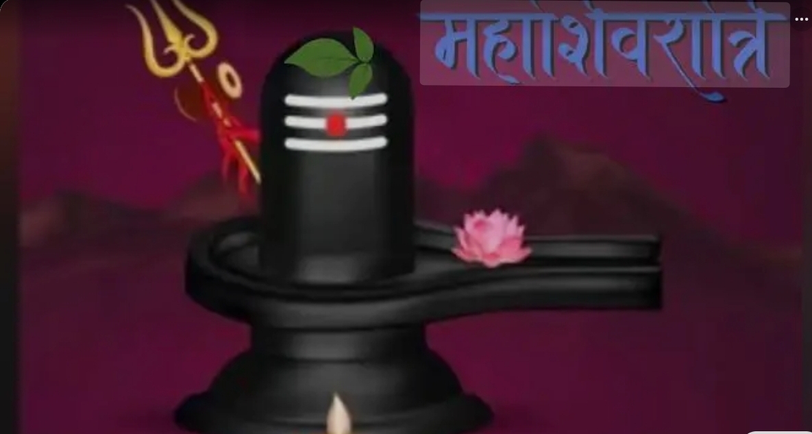 Screenshot_20260215_090146_Google