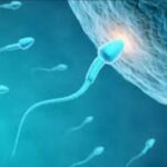 Screenshot_20260217_090639_Chrome