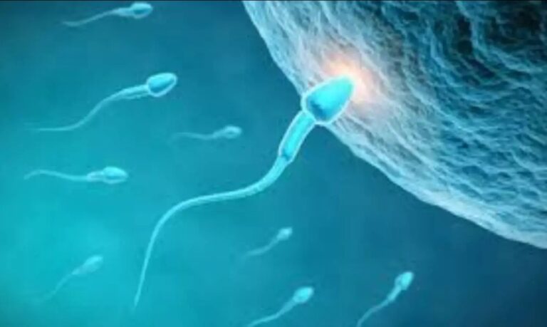 Screenshot_20260217_090639_Chrome