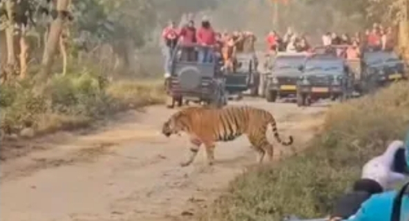 Screenshot_20260220_090637_Chrome