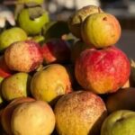 Screenshot_20260222_084502_Chrome