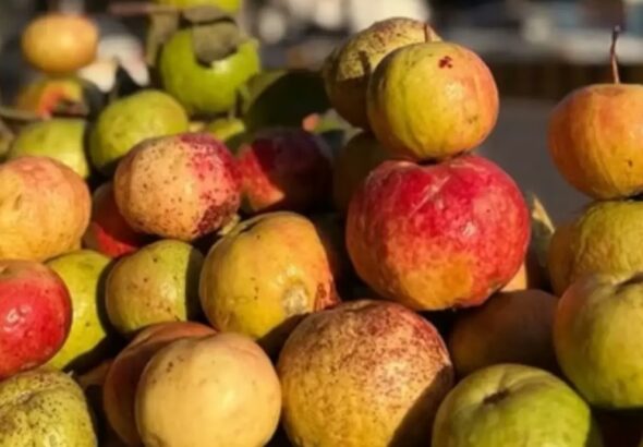 Screenshot_20260222_084502_Chrome