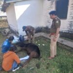 Screenshot_20260223_220007_WhatsApp