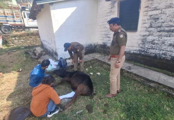 Screenshot_20260223_220007_WhatsApp