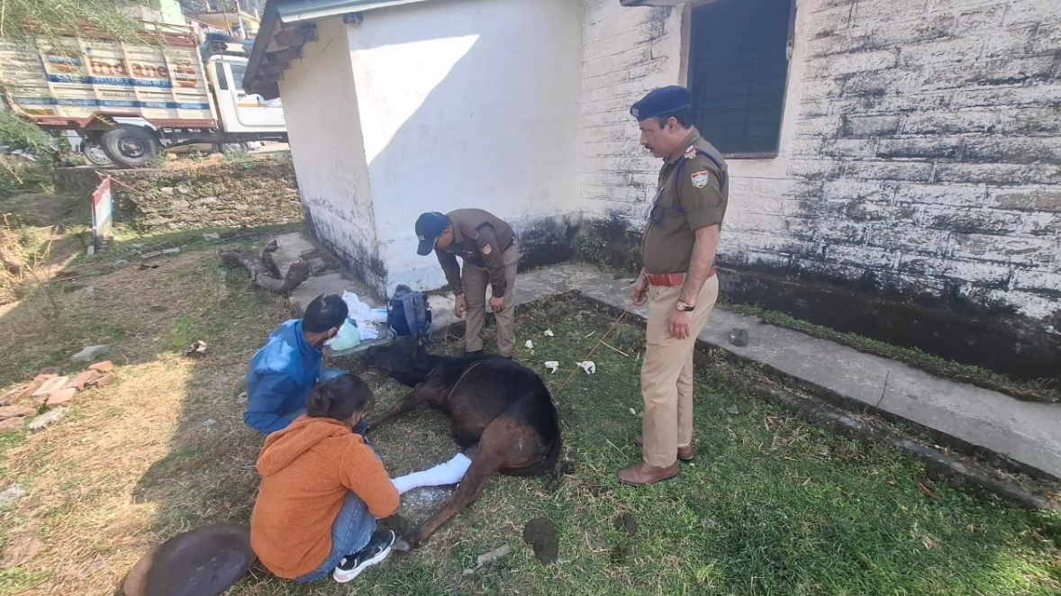 Screenshot_20260223_220007_WhatsApp