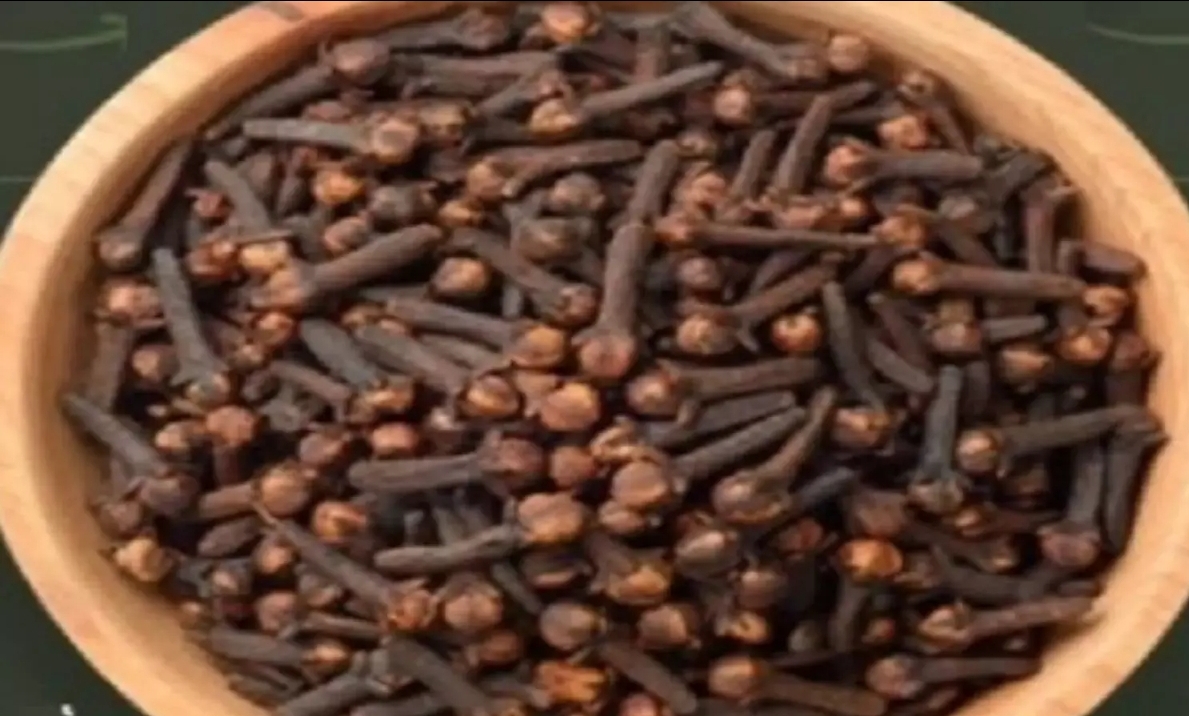 Screenshot_20260224_092319_Chrome