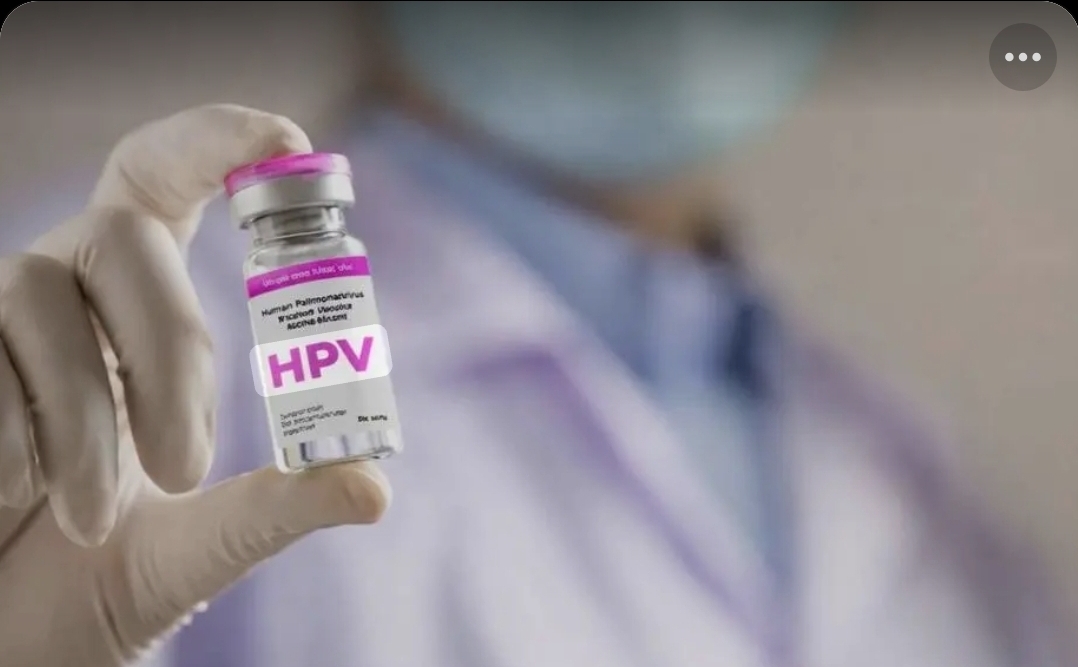 Screenshot_20260224_194426_Google