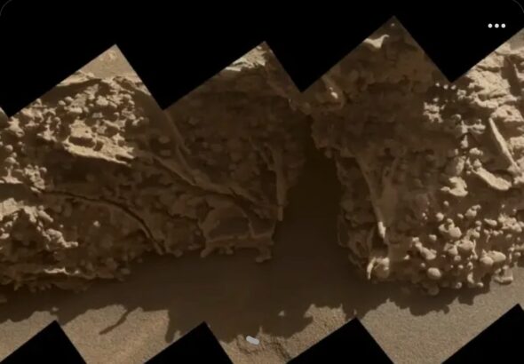 Screenshot_20260225_174905_Google