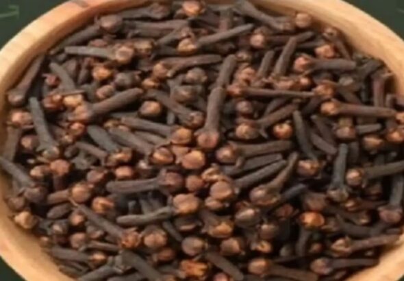 Screenshot_20260226_083000_WhatsApp