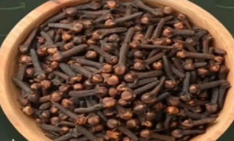 Screenshot_20260226_083000_WhatsApp