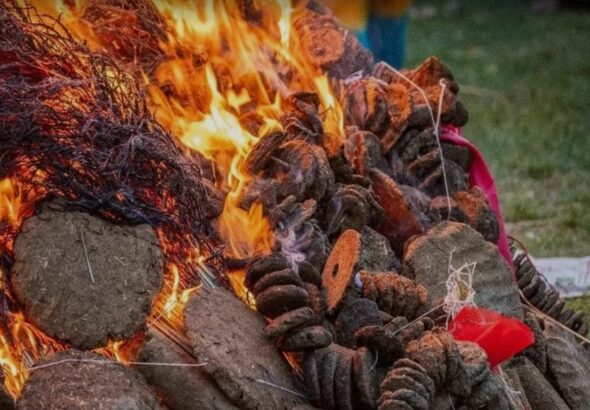 Screenshot_20260302_085124_Google