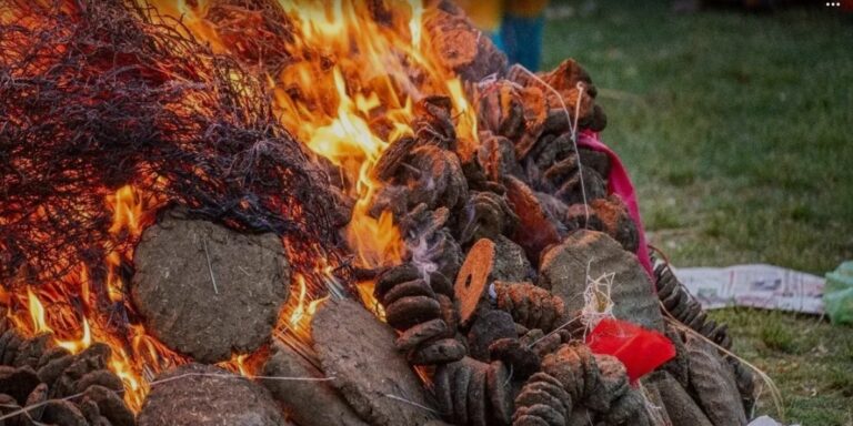 Screenshot_20260302_085124_Google