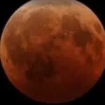 Screenshot_20260303_082556_Google