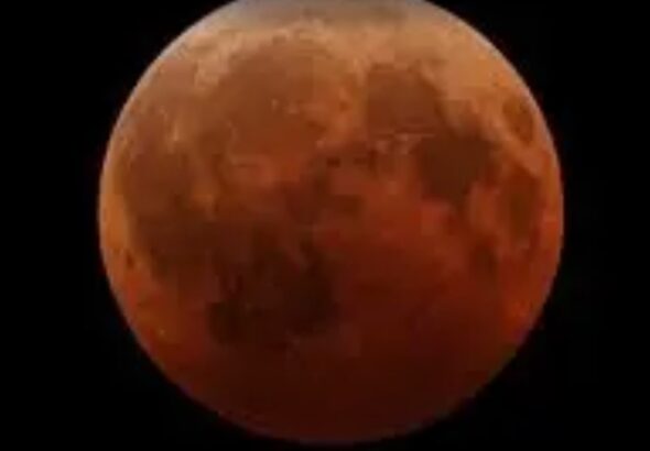 Screenshot_20260303_082556_Google