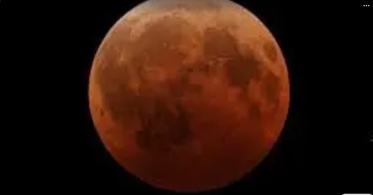 Screenshot_20260303_082556_Google