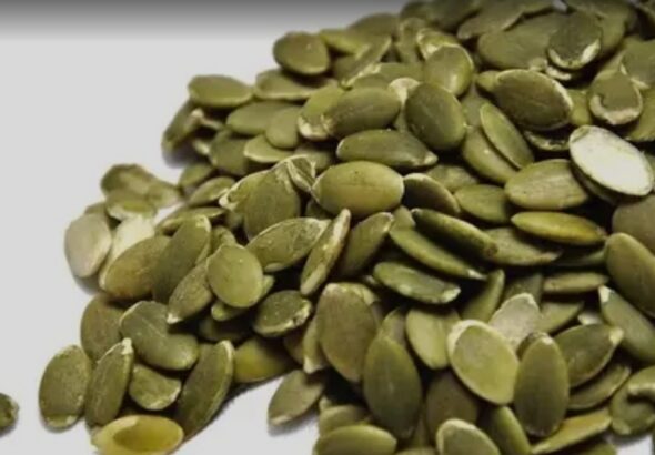 Screenshot_20260306_085300_Google