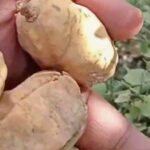 Screenshot_20260309-101725~2