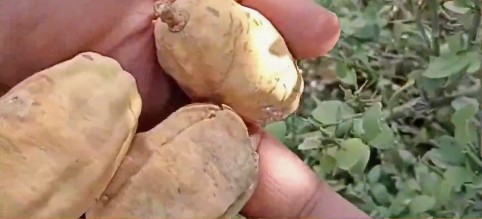 Screenshot_20260309-101725~2