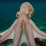 Screenshot_20260311-102704~2