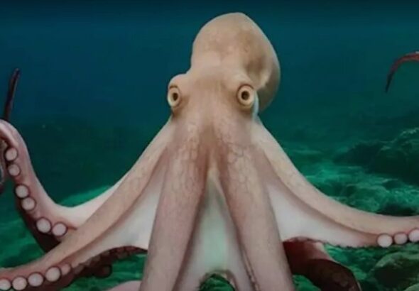 Screenshot_20260311-102704~2