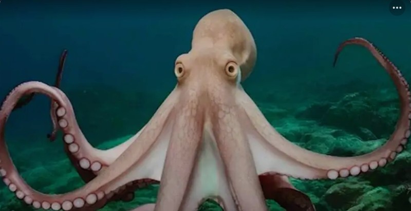 Screenshot_20260311-102704~2