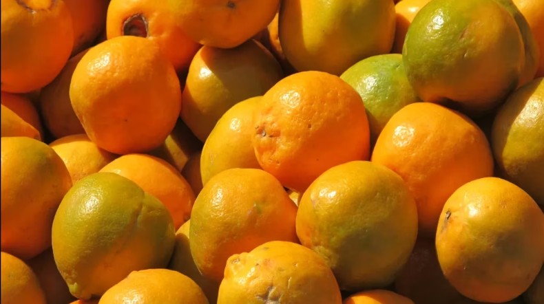 Screenshot_20260312-101511~2