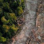 Screenshot_20260315-091656~2